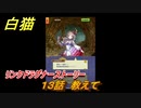 白猫　リンクドラグナーストーリー　１３話　教えて　９周年EP２　ガチャキャラ　エクセリア（ドラグナー）ゲオルグ（ドラグナー）エクセリア（鎖剣）　＃２３　【白猫プロジェクト】