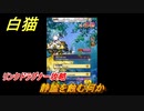 白猫　リンクドラグナー攻略　静謐を蝕む何か　９周年EP２　ガチャキャラ　エクセリア（ドラグナー）ゲオルグ（ドラグナー）エクセリア（鎖剣）　＃２７　【白猫プロジェクト】