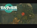 【ゼルダの伝説　ティアーズオブザキングダム】　冒険の記録　♯003　雪山で遭難