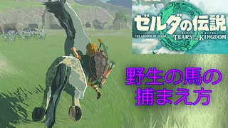 ティアキン 野生の馬の捕まえ方 ゼルダの伝説 ティアーズ オブ ザ キングダム