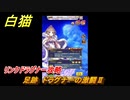 白猫　リンクドラグナー攻略　足跡　ドラグナーの激闘Ⅱ　９周年EP２　ガチャキャラ　エクセリア（ドラグナー）ゲオルグ（ドラグナー）エクセリア（鎖剣）　＃３５　【白猫プロジェクト】