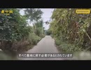 道を畑に戻す
