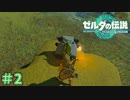 どこまで旅しに来てるんだよ　「ゼルダの伝説～ティアーズ・オブ・ザ・キングダム」　＃2