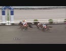 2023年5月13日高知競馬4R ＪＢＣ協会協賛高知佐賀スタリオンシリーズ ベストウォーリア賞(準重賞) モダスオペランディ