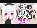 小夜ちゃんは煽りたいお年頃！ その１