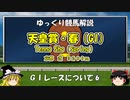 GIレース解説⑥ 天皇賞・春