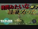 拷問みたいになっちゃった…【TEARS OF THE KINGDOM】＃７