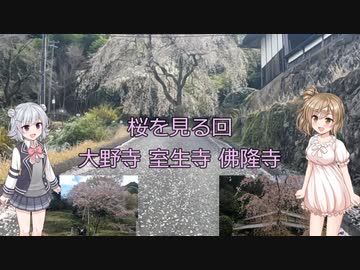 【Cevio車載】お花見動画 大野寺～室生寺～佛隆寺 【奈良県宇陀市】