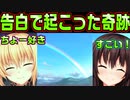 【ニャー】#29　アマツマガツチでも倒したんか？【ノラと皇女と野良猫ハート】