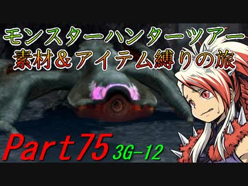 【ゆっくりモンハン】モンスターハンターツアー素材＆アイテム縛りの旅　part75【MH3G】