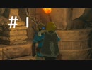 【ゼルダの伝説ティアーズオブザキングダム】＃１　カメラの前に立つな！！！！