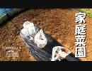 【第140回】家庭菜園とご飯の時間と雨音とカヌレ
