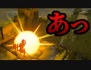 【実況】チュチュ舐めてました【ゼルダの伝説 ティアーズ オブ ザ キングダム part 4】