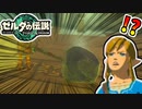 【ゼルダの伝説TOTK 】なんだこの武器は…！？【ティアキン】#03