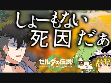 【ゼルダの伝説totk】勇者と魔女と枝豆と青山＃２【VOICEVOX実況・ゆっくり実況】