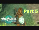 【実況】ぶらりゼルダの伝説ティアーズオブザキングダムpart5【ティアキン】