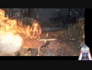 芸術は爆発だと言わんばかりの爆発で飛ばされるSAKANA　【Bloodborne】　part16