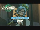 【ゼルダの伝説】監視砦の周辺を探索  Part 8【ティアーズ オブ ザ キングダム(ネタばれあり)】