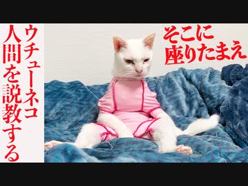 ウチューネコ、人間を説教する