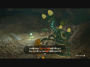【実況】ゼルダの伝説 たわむれオブザキングダム Part4【ティアキン】