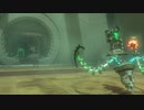 ゼルダの伝説ティアーズオブザキングダム　エショセの祠