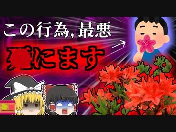 【2019年】子供のころやっていた"あの行為" 実は命の危険も… 公園で遊んでいた子供たちに起きた悲劇 「レンゲツツジ食中毒」【ゆっくり解説】