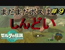 もっと強い武器を求む【TEARS OF THE KINGDOM】＃９