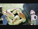 【VOICEROIDキャンプ】ゆかズマ!part33【おひさしぶりキャンプ】