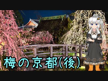 おバイク風景案内４２ 梅の京都（後）【V-STROM1050XT】