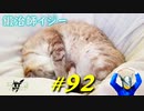 黄金樹の化身と戯れたり大きいNPCと交流したり広い敷地に足を踏み入れたりします【初見】エルデンリング実況／盗賊王物語【オフライン】#92