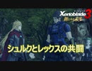 シュルクとレックス、1と2の主人公の共闘！　ゼノブレイド3新たなる未来実況プレイPart5