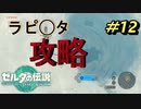 これは完全に竜の巣【TEARS OF THE KINGDOM】＃12