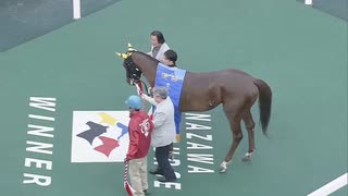 第31回北日本新聞杯【石川ダービートライアル】 ノブノビスケッツ(レース後の口取り撮影のみ)