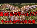 ワンピース第5話に出てきた毒蛇モクタールについてのチャットGPTの反応集