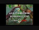 甲虫王者ムシキング　対戦動画㊺