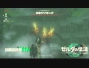 【ゼルダの伝説TEARS OF THE KINGDOM】サクサク楽しむ実況プレイpart4
