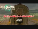 【ゼルダの伝説】飛び込みの儀!!  Part 10【ティアーズ オブ ザ キングダム(ネタばれあり)】