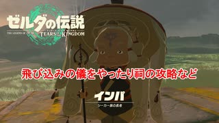 【ゼルダの伝説】飛び込みの儀!!  Part 10【ティアーズ オブ ザ キングダム(ネタばれあり)】