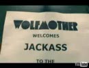 Wolfmother - Joker And The Thief