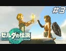ゼルダを探しに行く旅が始まる ゼルダの伝説 ティアーズオブザキングダム Part3【ゲーム実況】