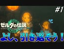 よし、引き返そう！【ゼルダの伝説 ティアーズ オブ キングダム】実況プレイ part1