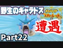 【ポケモンSV】野生のギャラドスに大興奮！ハッコウシティ巡り Part22【仲良しOL2人実況】