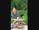 Tutorial how to eat tree roots