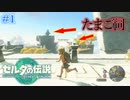 開幕5秒で操作できる神ゲー #1後半【ゼルダの伝説 ティアーズオブザキングダム】ティアキン
