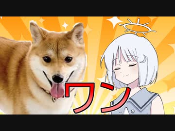 犬を救う方法って知ってる？
