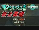 飛込みの儀　自己最速 16秒6【ゼルダの伝説 ティアーズオブザキングダム】