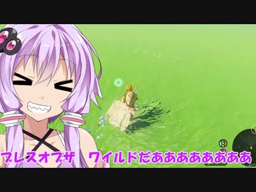 【ゼルダTOTK】野生の勇者ゆかり【VOICEROID実況プレイ】12