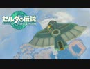 【ゼルダの伝説　ティアーズオブザキングダム】　冒険の記録　♯005　空を飛ぶ