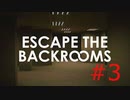 【初見プレイ】Escape the Backrooms　＃3