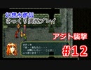 【夫婦で】幻想水滸伝さっくりプレイ#12【実況】